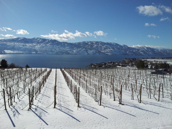 Okanagan winter winery