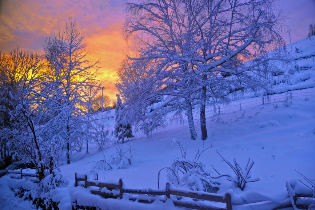 Snowy sunrise