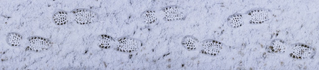 Snow prints